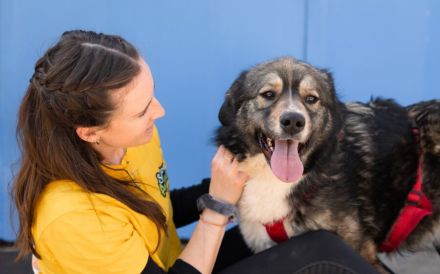 Sabine - offen, fröhlich und wunderhübsch. Adopt. Don´t shop.