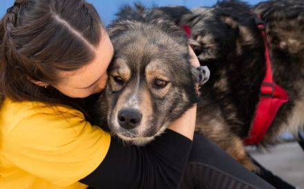 Sabine - offen, fröhlich und wunderhübsch. Adopt. Don´t shop.