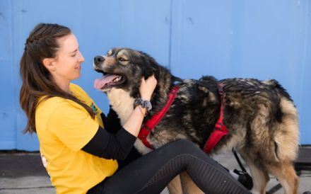 Sabine - offen, fröhlich und wunderhübsch. Adopt. Don´t shop.