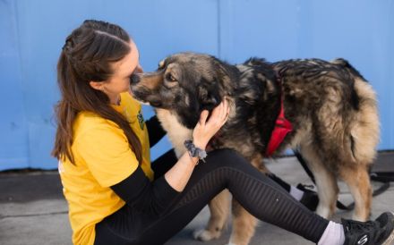Sabine - offen, fröhlich und wunderhübsch. Adopt. Don´t shop.