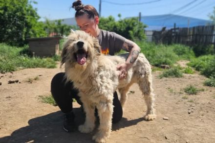 Bärchen: sein Name ist Programm! Er sucht ein Zuhause.