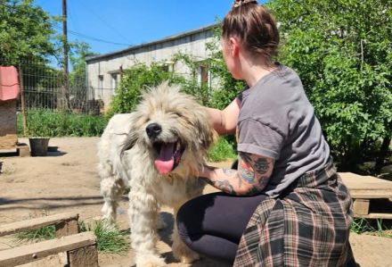 Bärchen: sein Name ist Programm! Er sucht ein Zuhause.