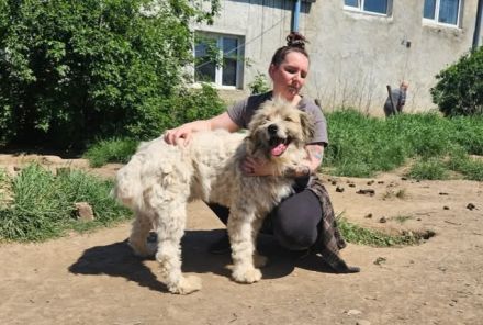 Bärchen: sein Name ist Programm! Er sucht ein Zuhause.