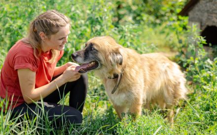 Atreju wünscht sich ein warmes Körbchen
