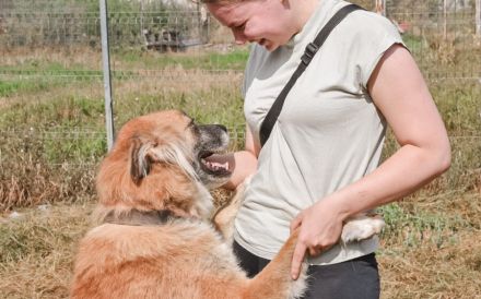 Atreju wünscht sich ein warmes Körbchen