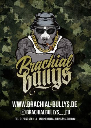 Wunderschöne American Bully Welpen der extraklasse in sehr edlen Farben vom Züchter