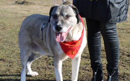 Lässt du Namidas Augen wieder leuchten?