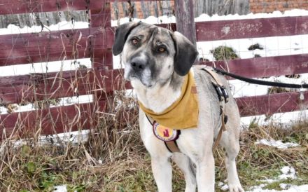 Lässt du Namidas Augen wieder leuchten?