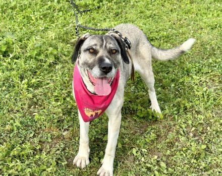 Lässt du Namidas Augen wieder leuchten?