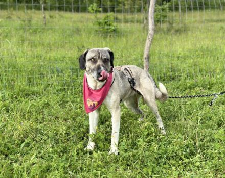 Lässt du Namidas Augen wieder leuchten?