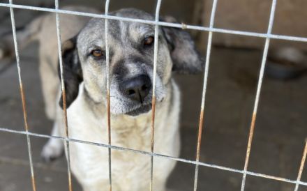 Lässt du Namidas Augen wieder leuchten?