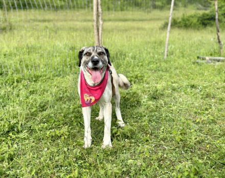 Lässt du Namidas Augen wieder leuchten?