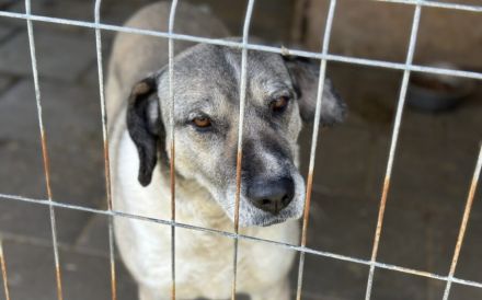 Lässt du Namidas Augen wieder leuchten?