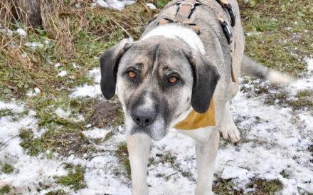 Lässt du Namidas Augen wieder leuchten?