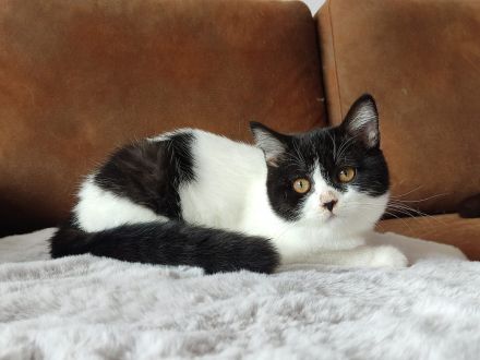 Unsere BKH Rasselbande hat ihre Köfferchen gepackt