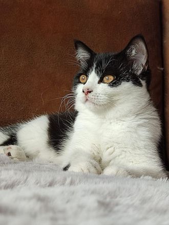 Unsere BKH Rasselbande hat ihre Köfferchen gepackt