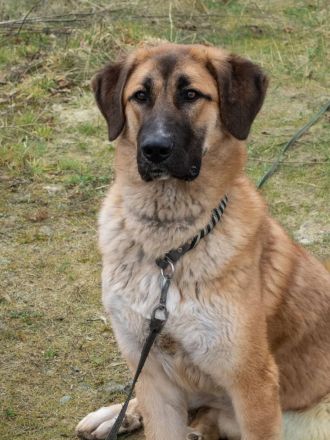 Maura sucht ihr Für-Immer-Zu Hause🏡