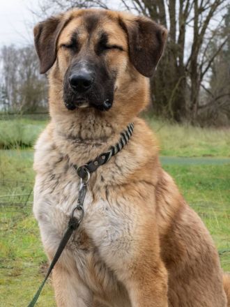 Maura sucht ihr Für-Immer-Zu Hause🏡