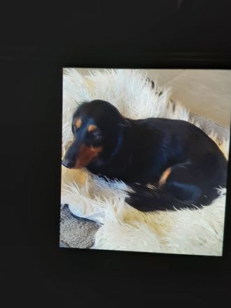 Von der Vehlefanzer Mühle