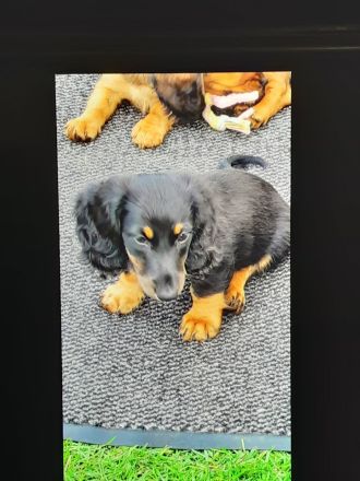 Von der Vehlefanzer Mühle