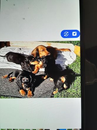 Von der Vehlefanzer Mühle