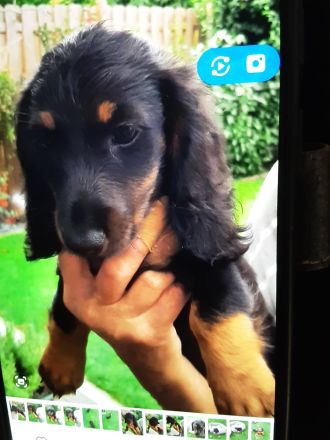 Von der Vehlefanzer Mühle