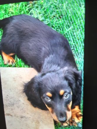 Von der Vehlefanzer Mühle