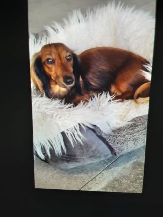 Von der Vehlefanzer Mühle