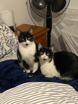 Minnie und Stella (ehemals Stuart ;) )