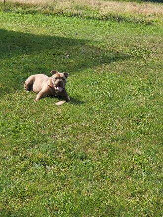 Kuschelige OEB sucht