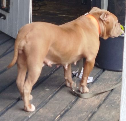 Kuschelige OEB sucht