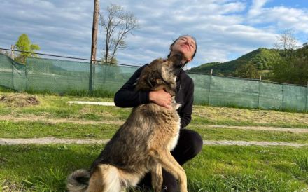 Karli sucht sein Körbchen. Adopt. Don´t shop.