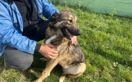 Karli sucht sein Körbchen. Adopt. Don´t shop.