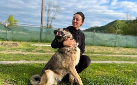 Karli sucht sein Körbchen. Adopt. Don´t shop.