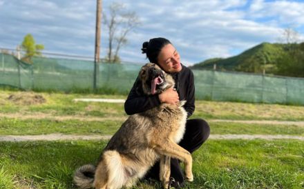 Karli sucht sein Körbchen. Adopt. Don´t shop.