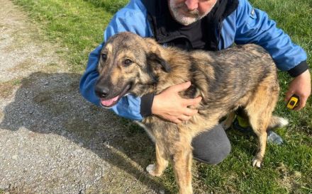 Karli sucht sein Körbchen. Adopt. Don´t shop.