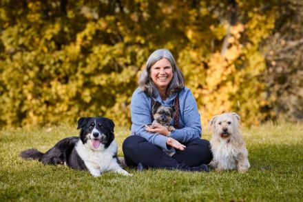 1. Hilfe Kurs für Hundehalter