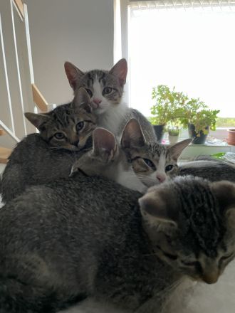 (geboren am 30. Juni 2024)