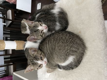 (geboren am 30. Juni 2024)