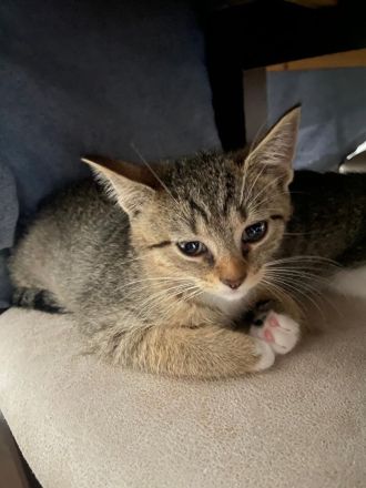 (geboren am 30. Juni 2024)