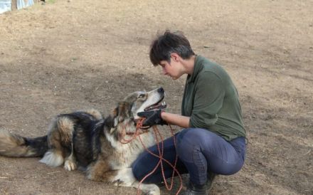 Flauschbär Joker suchht ein Zuhause