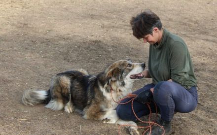 Flauschbär Joker suchht ein Zuhause