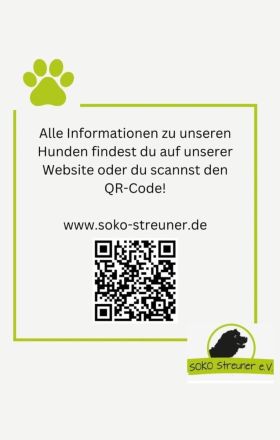 Melou, freundlich, anhänglich, liebt Menschen