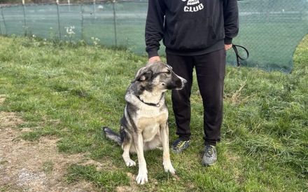 Bingo sucht seinen Hauptgewinn!