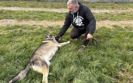Bingo sucht seinen Hauptgewinn!
