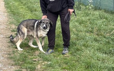 Bingo sucht seinen Hauptgewinn!
