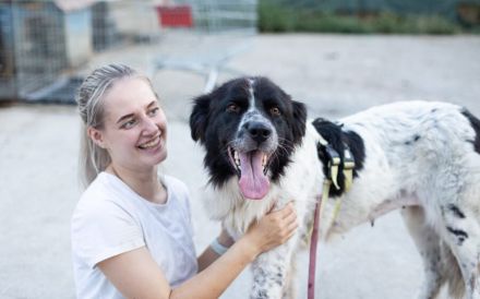 Die wunderschöne Kelly sucht tierliebe Menschen!