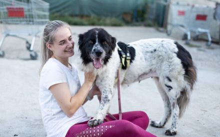 Die wunderschöne Kelly sucht tierliebe Menschen!