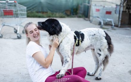 Die wunderschöne Kelly sucht tierliebe Menschen!