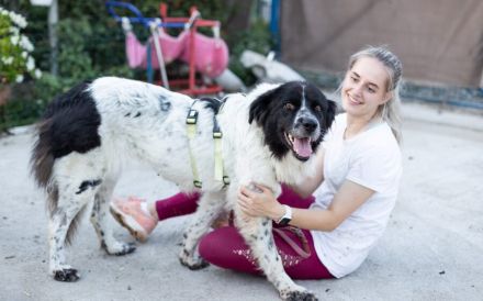 Die wunderschöne Kelly sucht tierliebe Menschen!